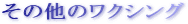 ���̑��̃��N�V���O