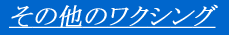 ���̑��̃��N�V���O