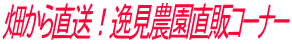�����璼���I�팩�_�����̃R�[�i�[
