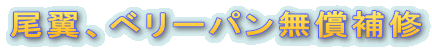 �����A�x���[�p��������C 