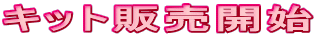 �L�b�g�̔��J�n 