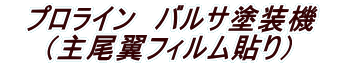 �@�v�����C���@�o���T�h���@�@ �i������t�B�����\��j 