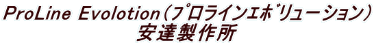 ProLine Evolotion�i�߃����C����ރ����[�V�����j ���B���쏊 