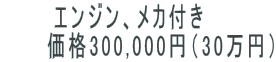 �G���W���A���J�t���@ �@�@�@���i300,000�~�i30���~�j 