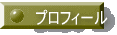 �v���t�B�[��