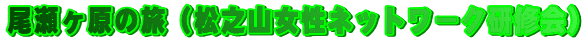 ���������̗��i���V�R�����l�b�g���[�N���C��j
