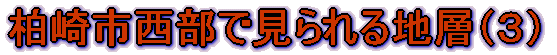 ���萼�C�݂̒n�w�i�P�j�i�Q�j�X���C�h�V���[�i���j���[�A���j