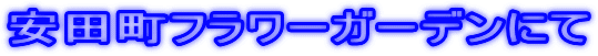 ���c���t�����[�K�[�f���ɂ�