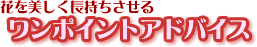 �����|�C���g�A�h�o�C�X
