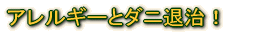 AM[ƃ_jގI 