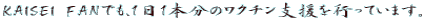 KAISEI FANłA11{̃N`xsĂ܂B