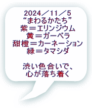 2024^11^5 g܂邩h GWE K[x [򁁃J[l[V ΁^}V_  aFŁA S