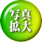 ʐ^ g