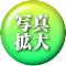 ʐ^ g