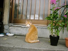 010525b.jpg