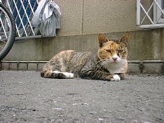 010802mi.jpg