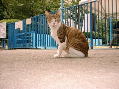 010808ki.jpg