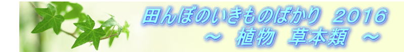 @@@@@@@@@@cڂ̂̂΂@QOPU @@@@@@@@@@@@@@`@A@{ށ@`