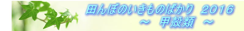 @@@@@@@@@@cڂ̂̂΂@QOPU @@@@@@@@@@@@@@`@bkށ@`