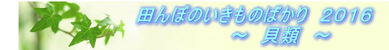 @@@@@@@@@@cڂ̂̂΂@QOPU @@@@@@@@@@@@@@`@Lށ@`