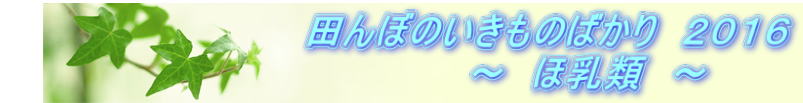 @@@@@@@@@@@cڂ̂̂΂@QOPU @@@@@@@@@@@@@@`@ٓށ@`