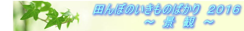 @@@@@@@@@@@cڂ̂̂΂@QOPU @@@@@@@@@@@@@@`@i@ρ@`