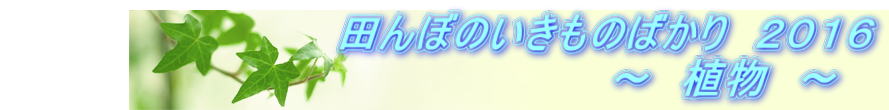 @@@@@@@@@@@cڂ̂̂΂@QOPU @@@@@@@@@@@@@@@@@@@`@A@`