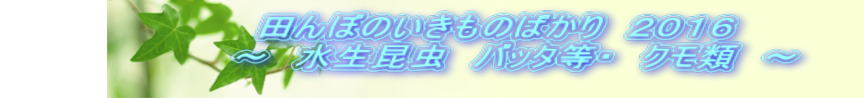 @@@@@@@@@cڂ̂̂΂@QOPU @@@@@@@@`@@ob^E@Nށ@`