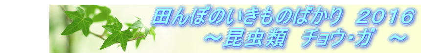 @@@@@@@@@@cڂ̂̂΂@QOPU @@@@@@@@@@@@@`ށ@`EEK@`