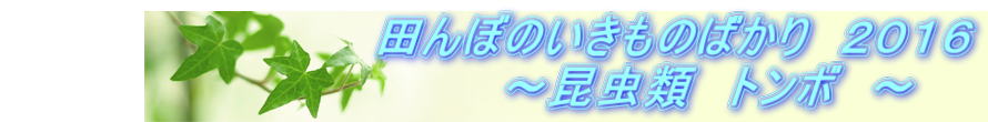 @@@@@@@@@@@cڂ̂̂΂@QOPU @@@@@@@@@@@@@`ށ@g{@`
