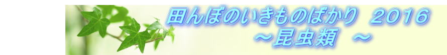 @@@@@@@@@@@cڂ̂̂΂@QOPU @@@@@@@@@@@@@`ށ@`