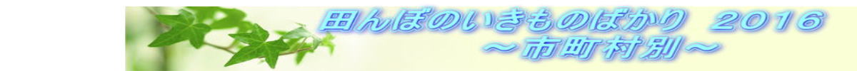 @@@@@@@@@@@cڂ̂̂΂@QOPU @@@@@@@@@@@@@`sʁ`