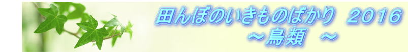 @@@@@@@@@@@cڂ̂̂΂@QOPU @@@@@@@@@@@@@`ށ@`