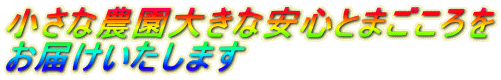 �����Ȕ_���傫�Ȉ��S�Ƃ܂������
���͂��������܂�
