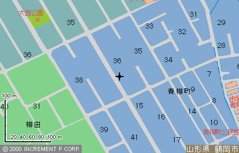 �X�^�W�I175 1/3125