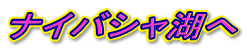 iCoV΂