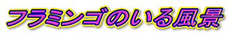 t~Ŝ镗i