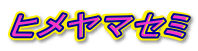 �q�����}�Z�~