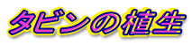 �^�r���̐A��