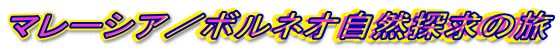 �}���[�V�A�^�{���l�I���R�T���̗�