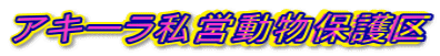 �A�L�[�����c�����ی��