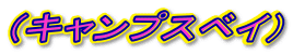 �i�L�����v�X�x�C�j
