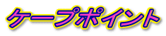 �P�[�v�|�C���g