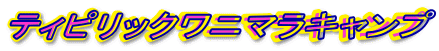 �e�B�s���b�N���j�}���L�����v