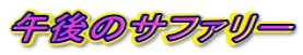 �ߌ�̃T�t�@���[