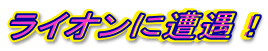 ���C�I���ɑ����I