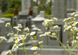 ���₢���킹�́A0745732131