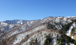 残雪