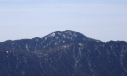 春霞