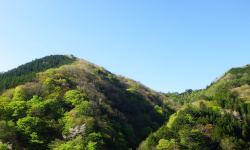 春の山